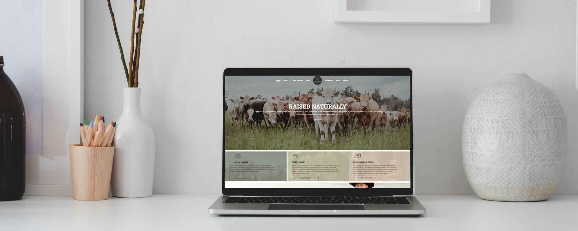 Skyhound Ranch website on laptop on desk