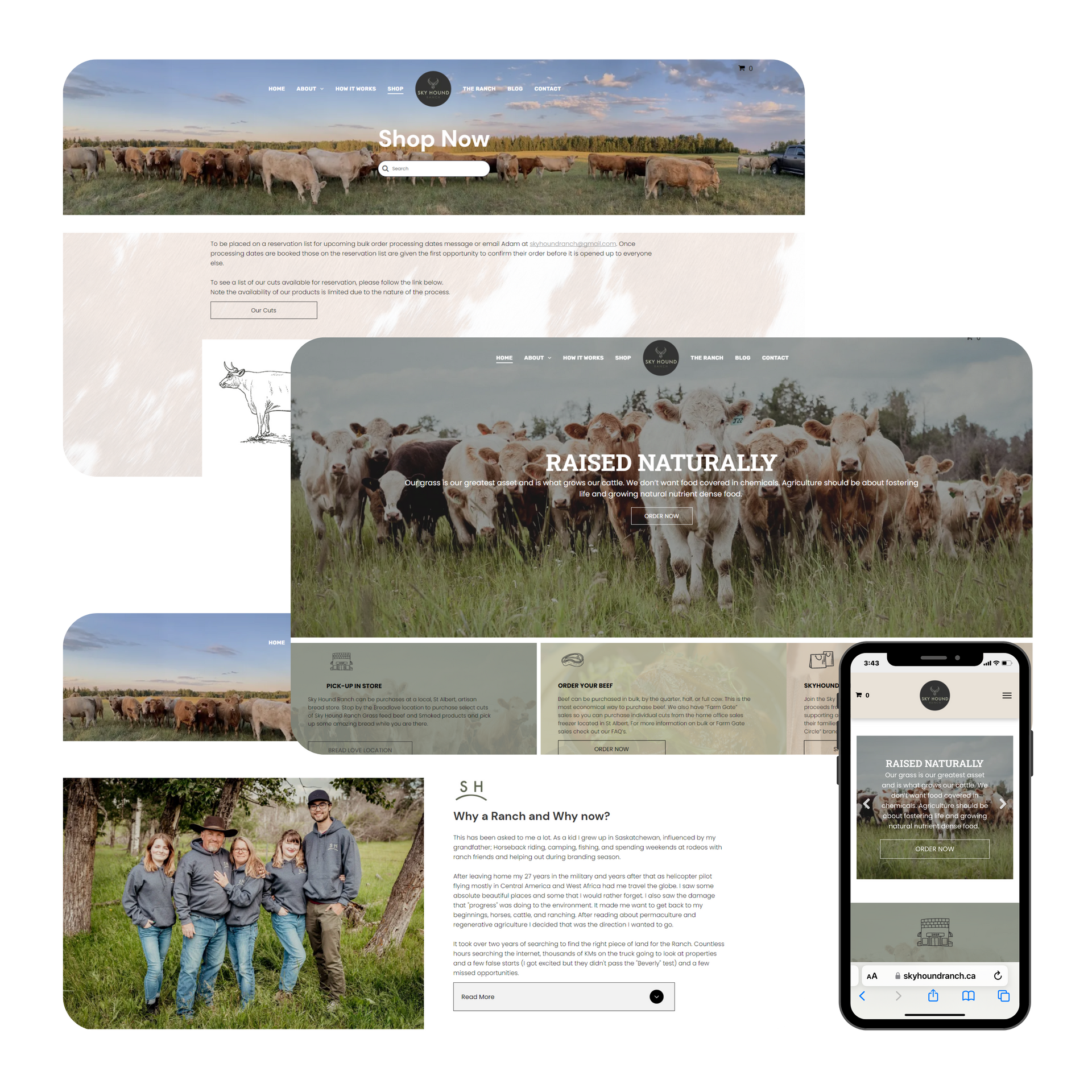 A group of cows are standing in Skyhound ranch  field on a website.