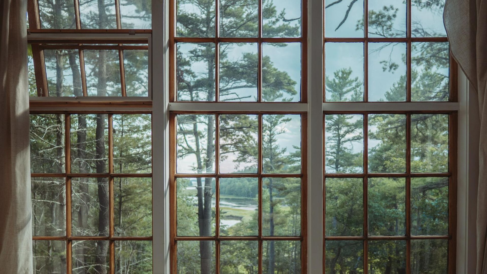 a room with a lot of windows looking out to a forest .