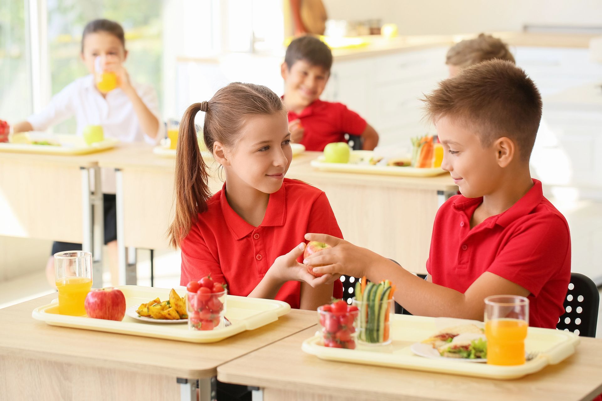 RISTORAZIONE SCOLASTICA