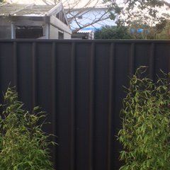 tall fence