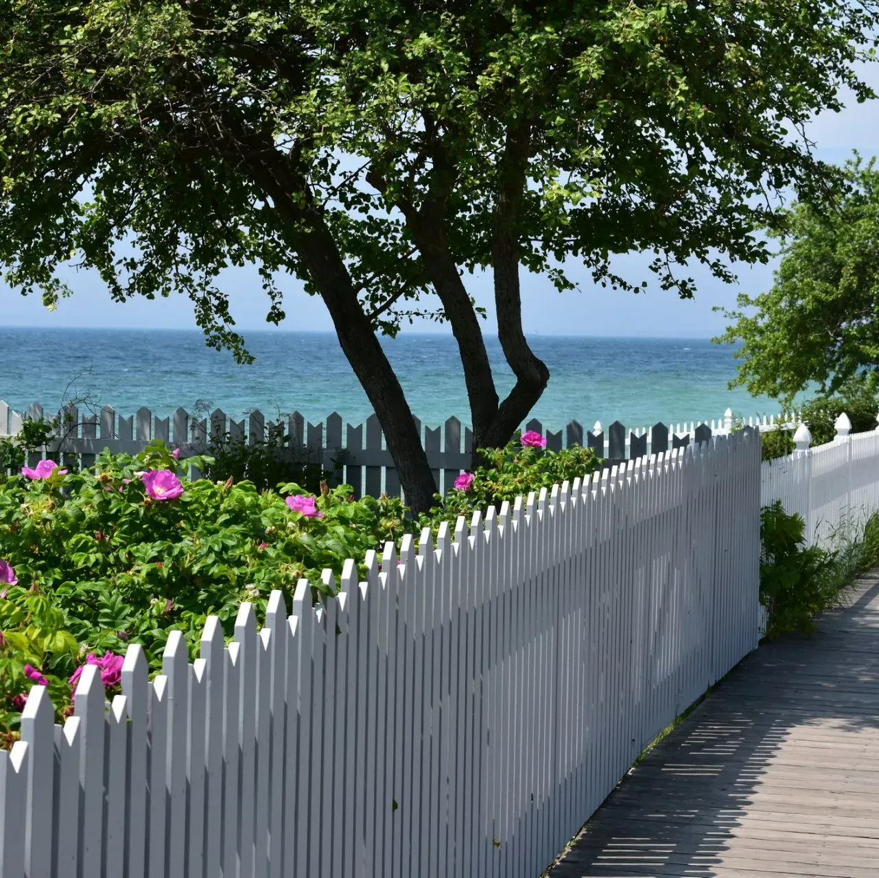 Lighthouse On The Shores — Clinton Twp, MI — Hamzavi Psychiatry and Wellness Center