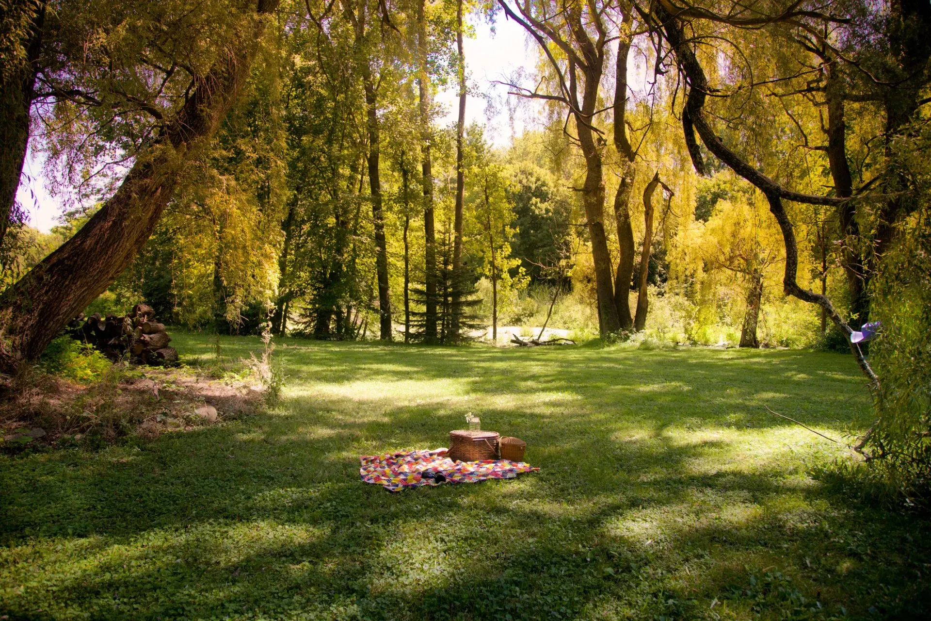 Picnic Set Up In A Sunny And Beautiful Place — Clinton Twp, MI — Hamzavi Psychiatry and Wellness Center