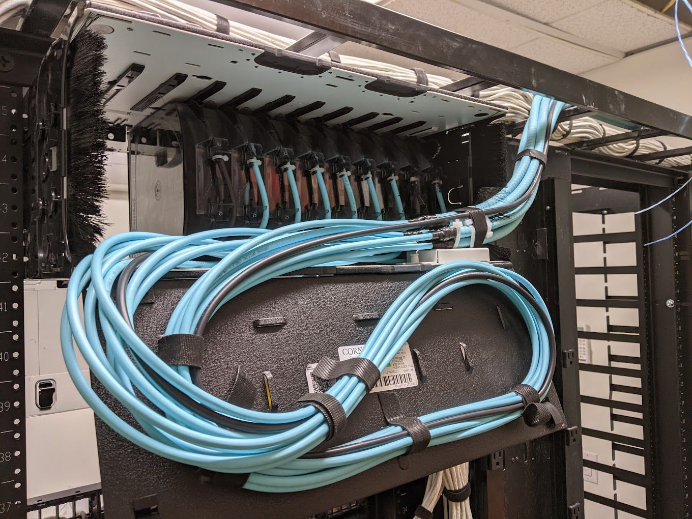 A bunch of blue wires are hanging from a rack.