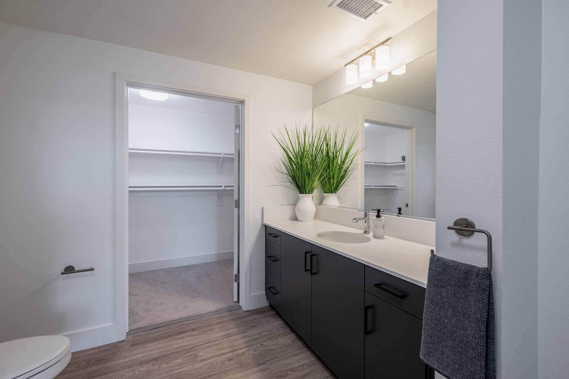 A bathroom with a toilet , sink , mirror and walk in closet.