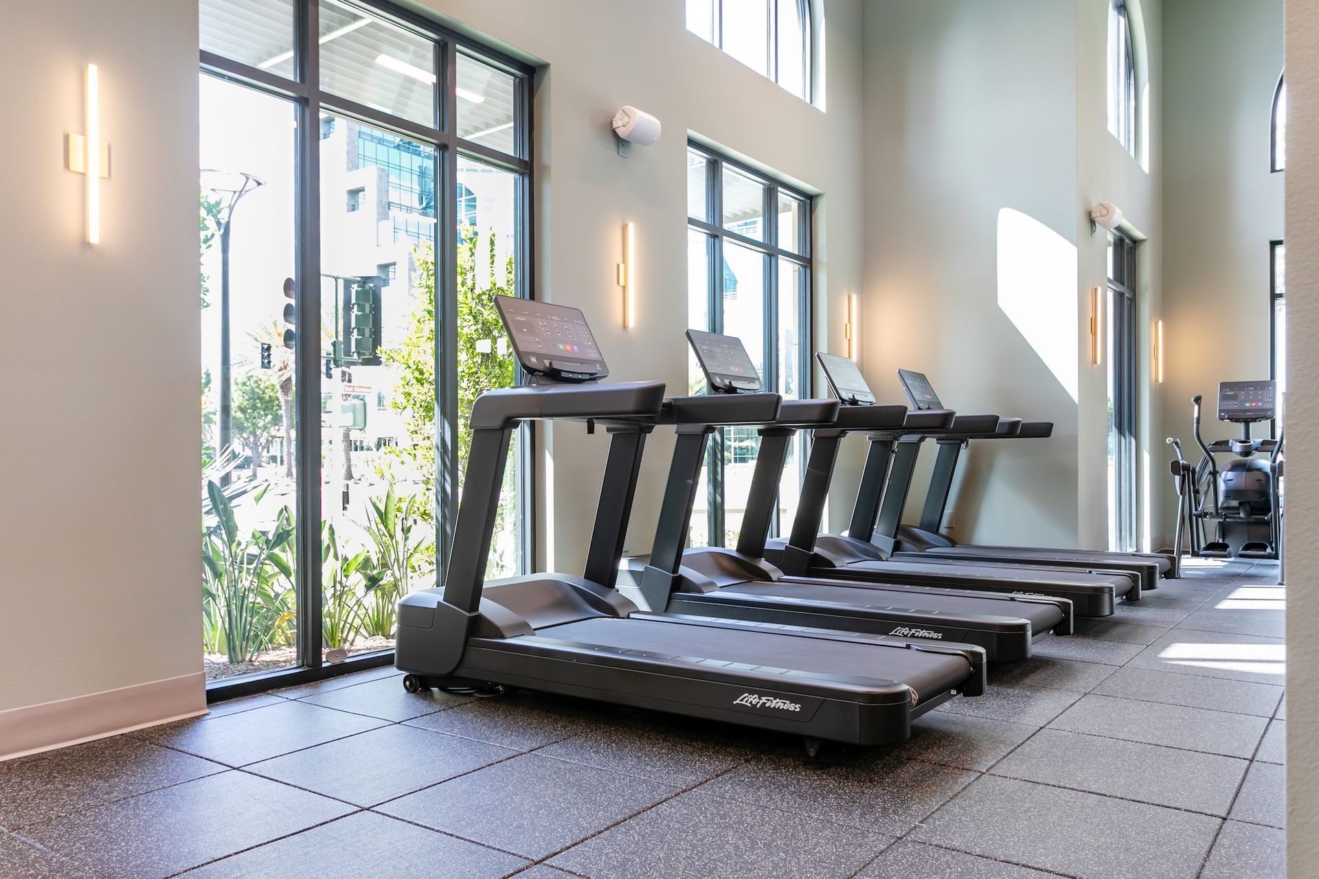Row of treadmills in a gym with large windows, gray rubber flooring, and neutral walls.