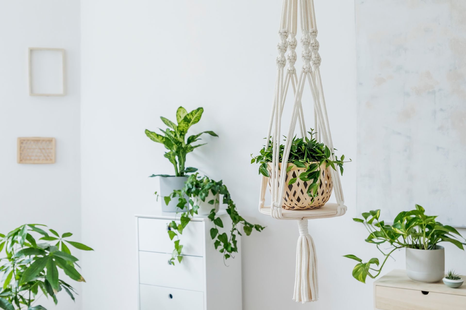 A living room filled with potted plants and a macrame plant hanger.