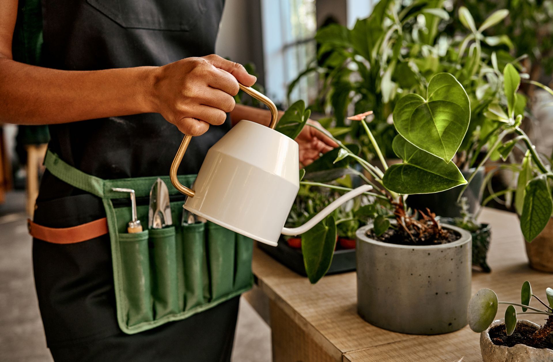 A woman is watering a potted plant with a watering can.