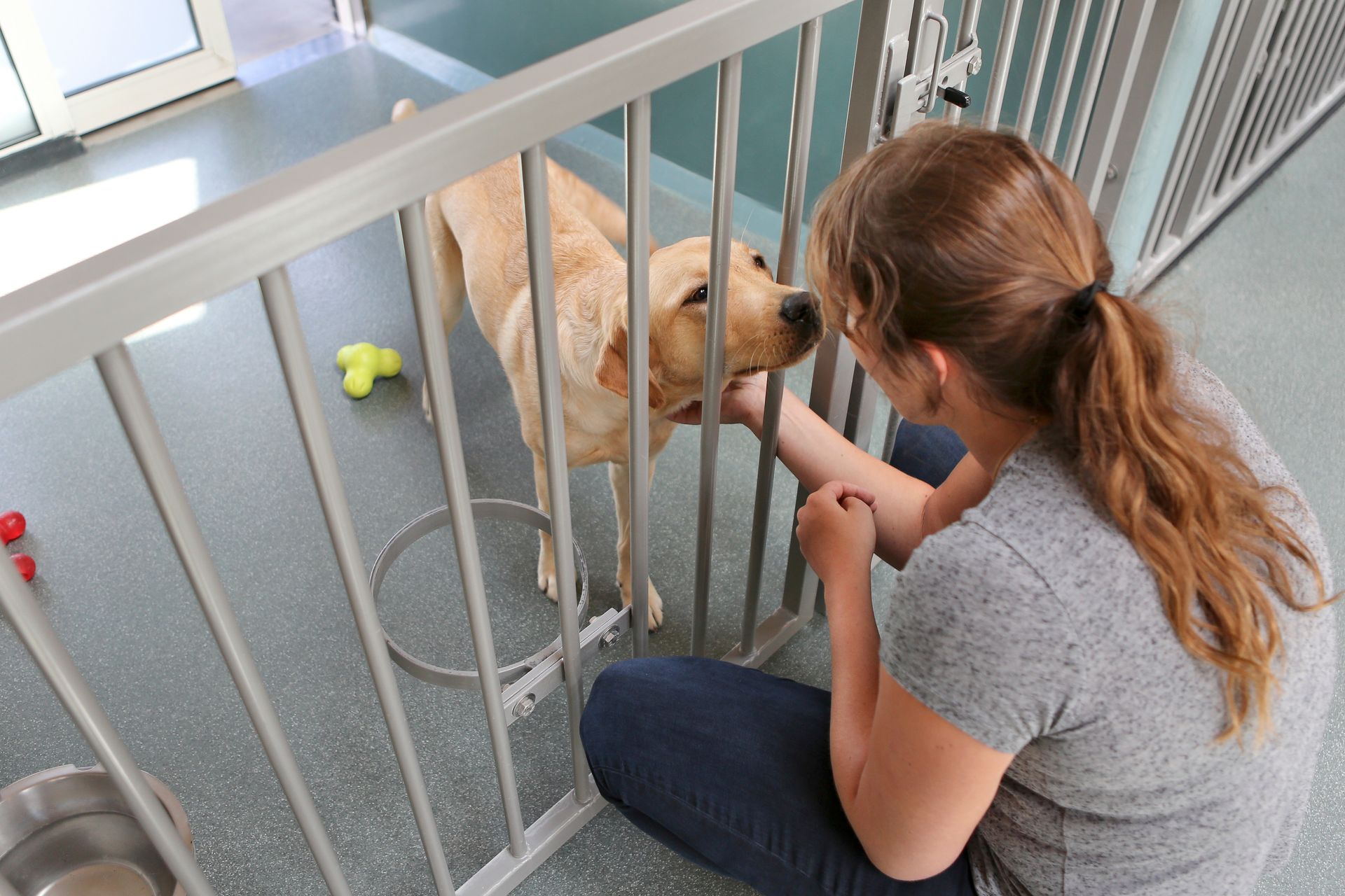 A caretaker greeting a dog through a kennel gate inside a pet boarding facility