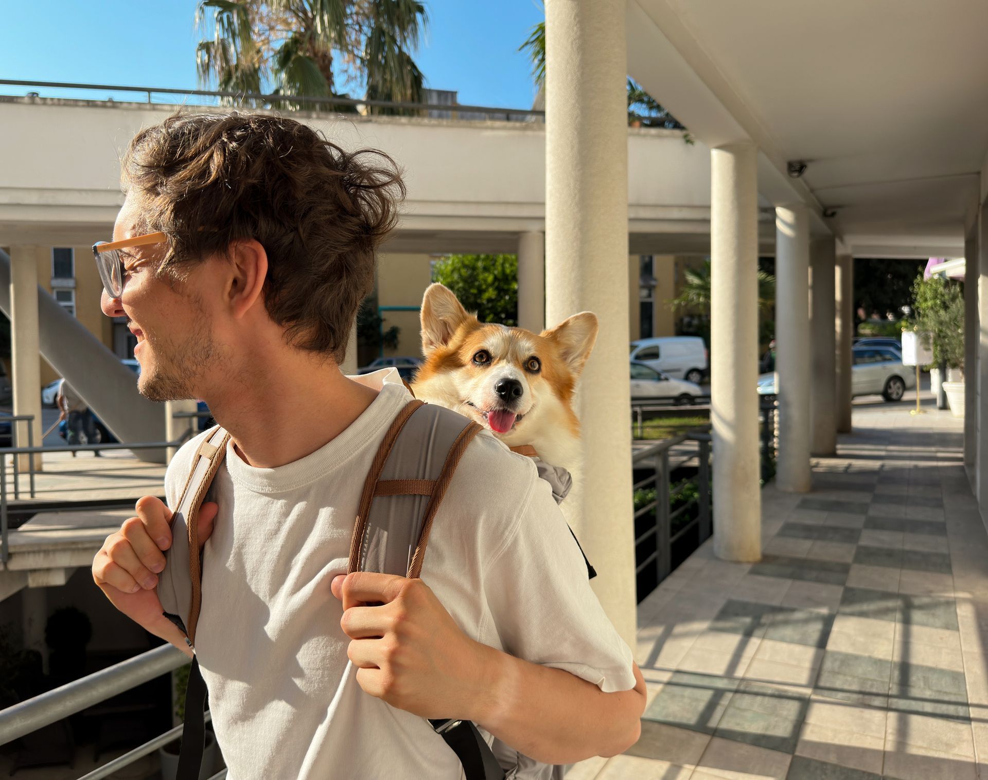 Man travelling with his dog in a backpack. Man travelling with his dog in a backpack.