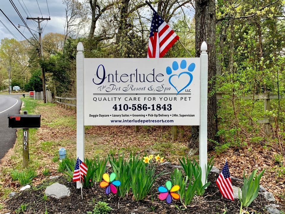 Sign for Interlude Pet Flowers & Spa, white with blue text and paw print, flowers, and American flag.