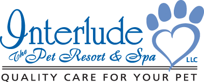 Interlude the Pet Resort & Spa
