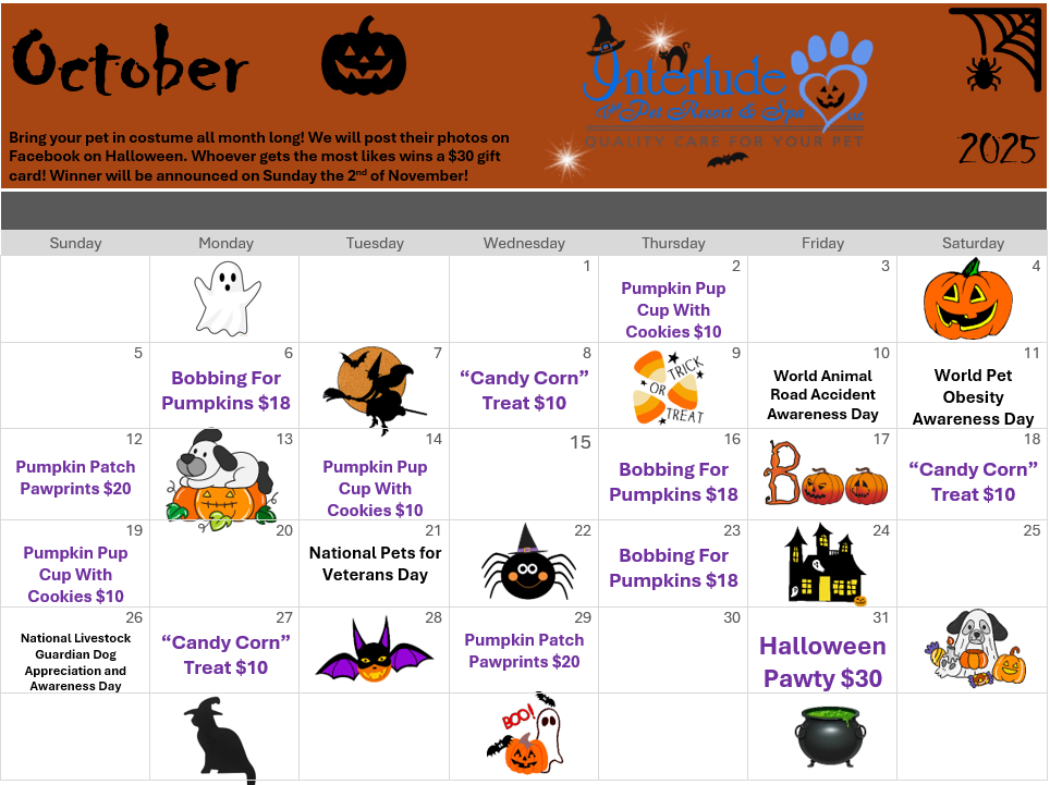 A calendar for july shows a variety of holidays