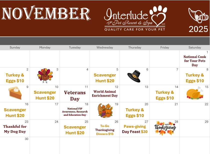 A calendar for july shows a variety of holidays A calendar for july shows a variety of holidays