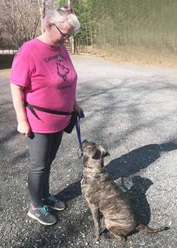 Woman in pink shirt and leggings with dog on a leash outside on a gravel path.