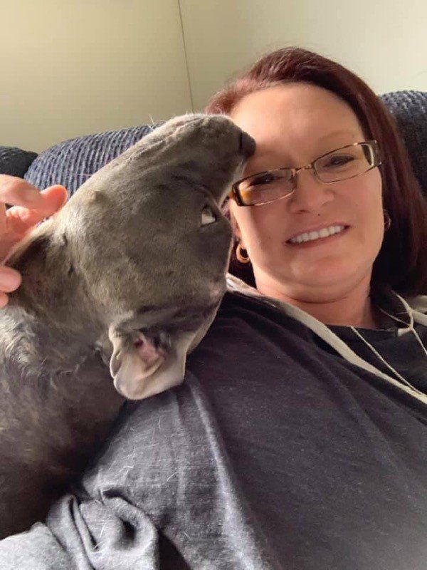 Different Animals Portrait — St. Leonard, MD — Interlude the Pet Resort & Spa