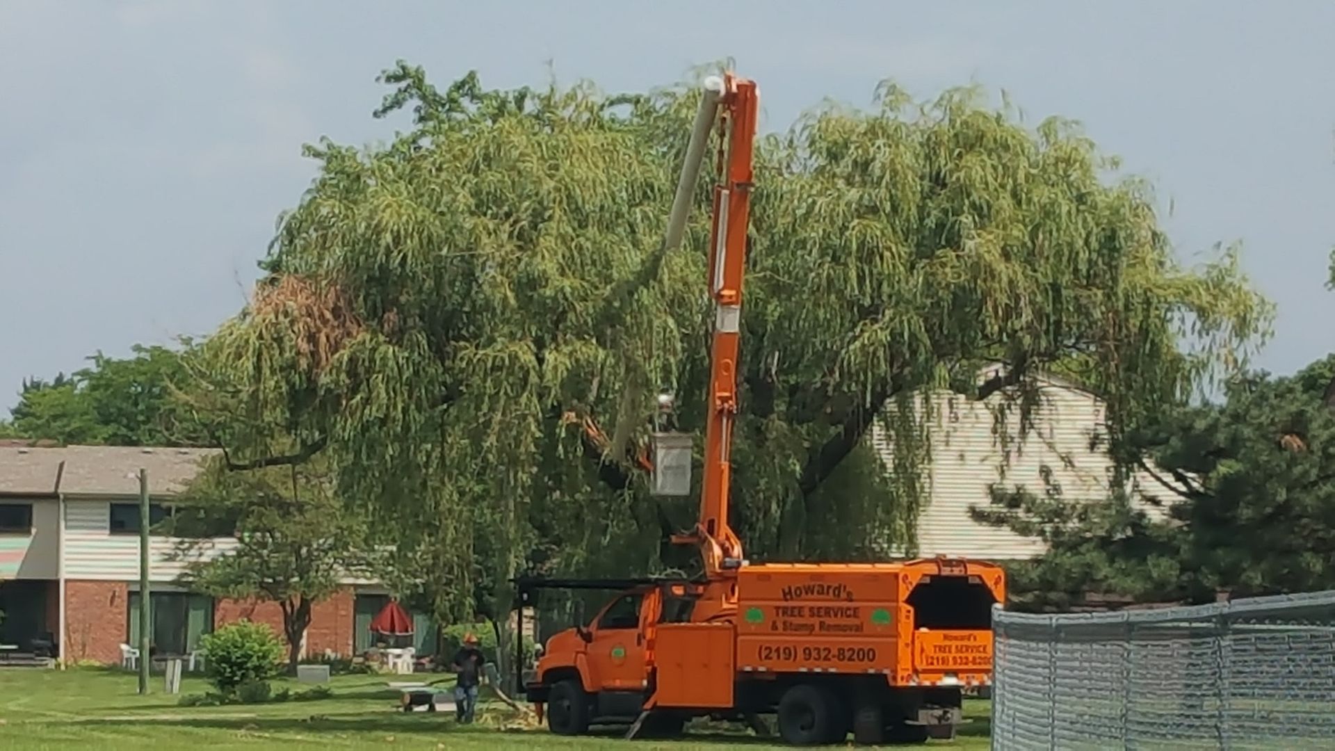 Tree Trimming — Hammond, IN — Howard’s Tree Service & Stump Removal