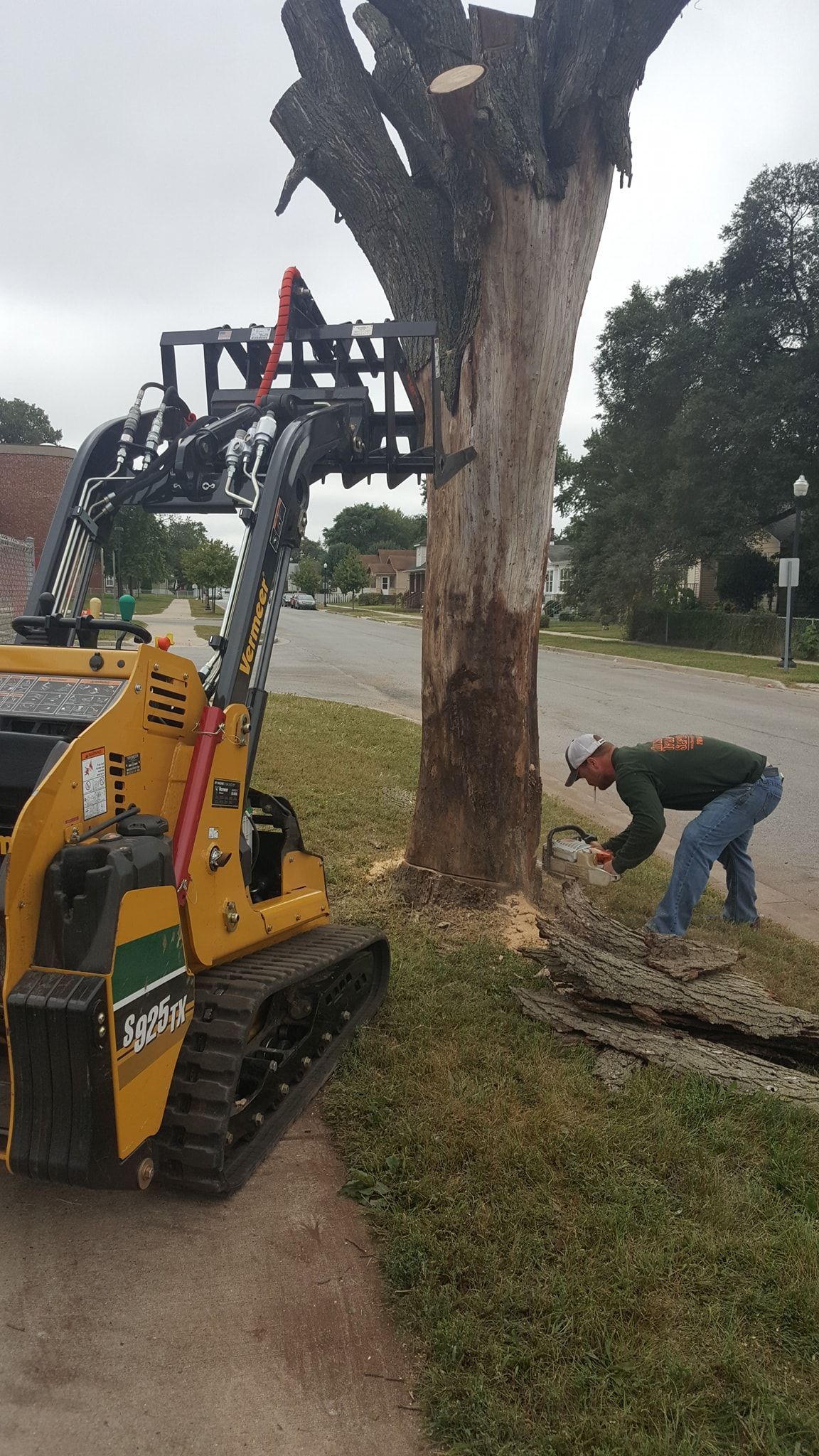 Worker Removing the Tree — Hammond, IN — Howard’s Tree Service & Stump Removal