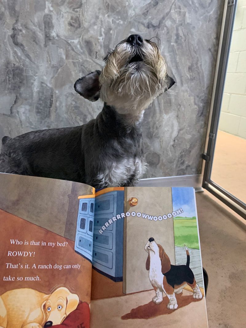 A dog is standing next to a book with a picture of a dog on it.