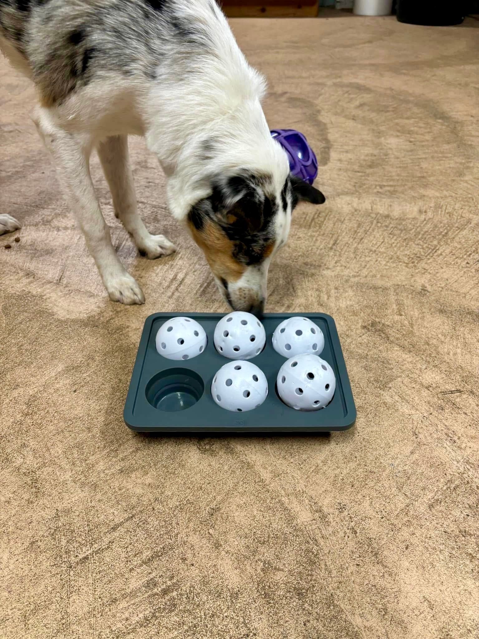 Mental stimulation from I.T. class.