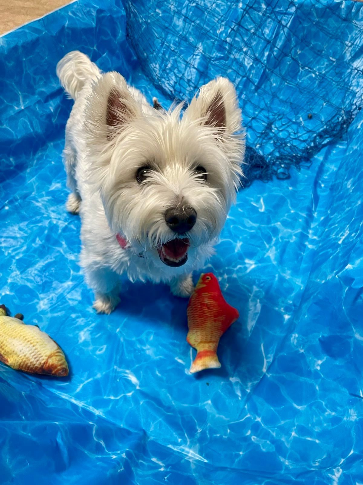 Boarding guest doing a fishing activity.