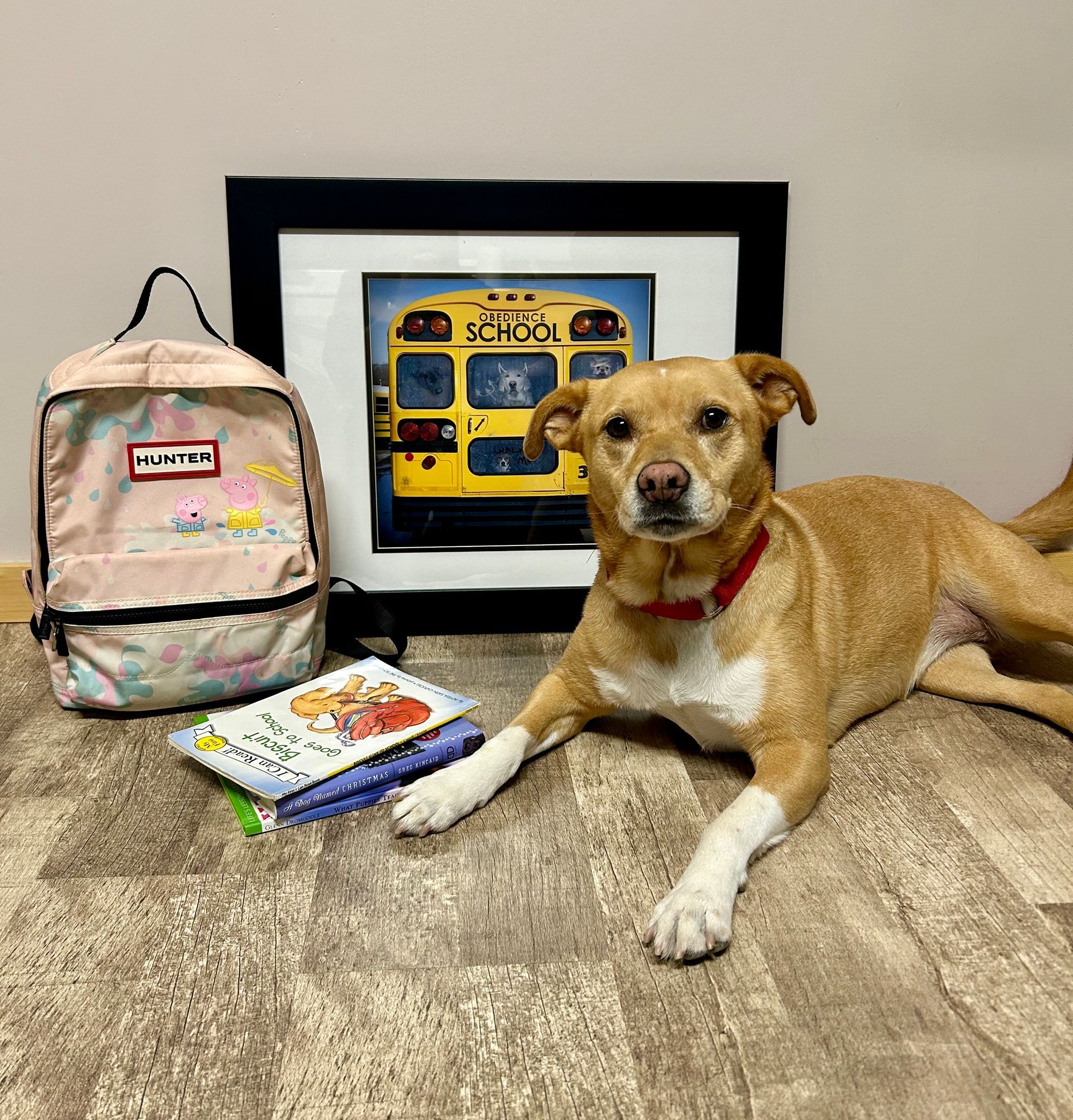 A black dog is laying in front of a picture of a school bus