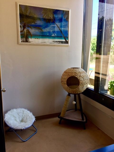 A room with a cat tree and a picture on the wall.