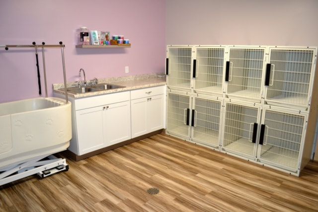 A room with a sink , cabinets , and kennels.