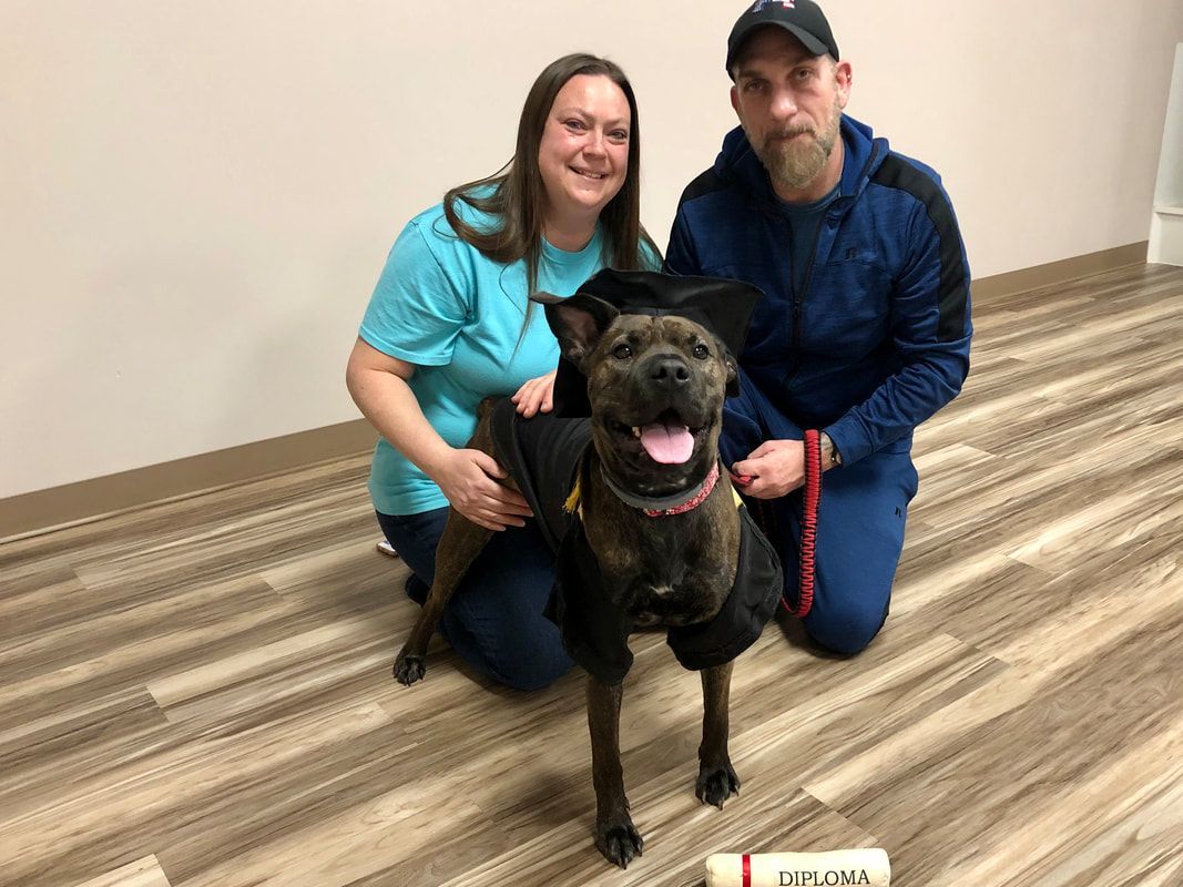 A man and a woman are kneeling down next to a dog.