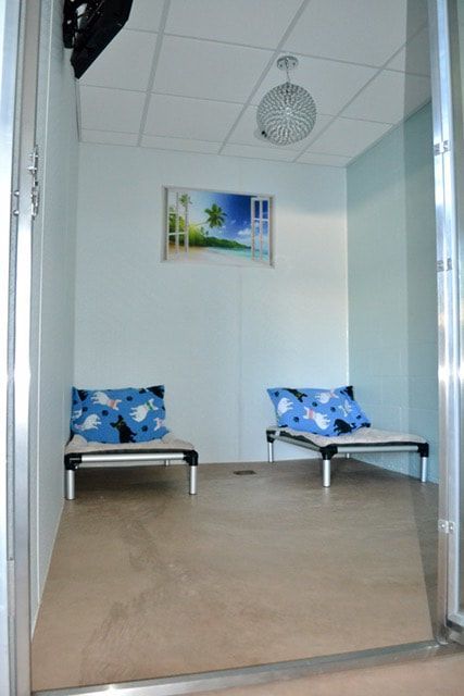 A room with two chairs and a picture on the wall