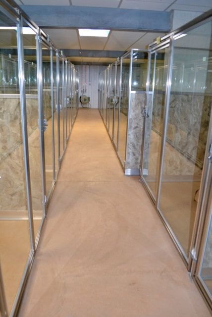 A long hallway with a lot of glass doors