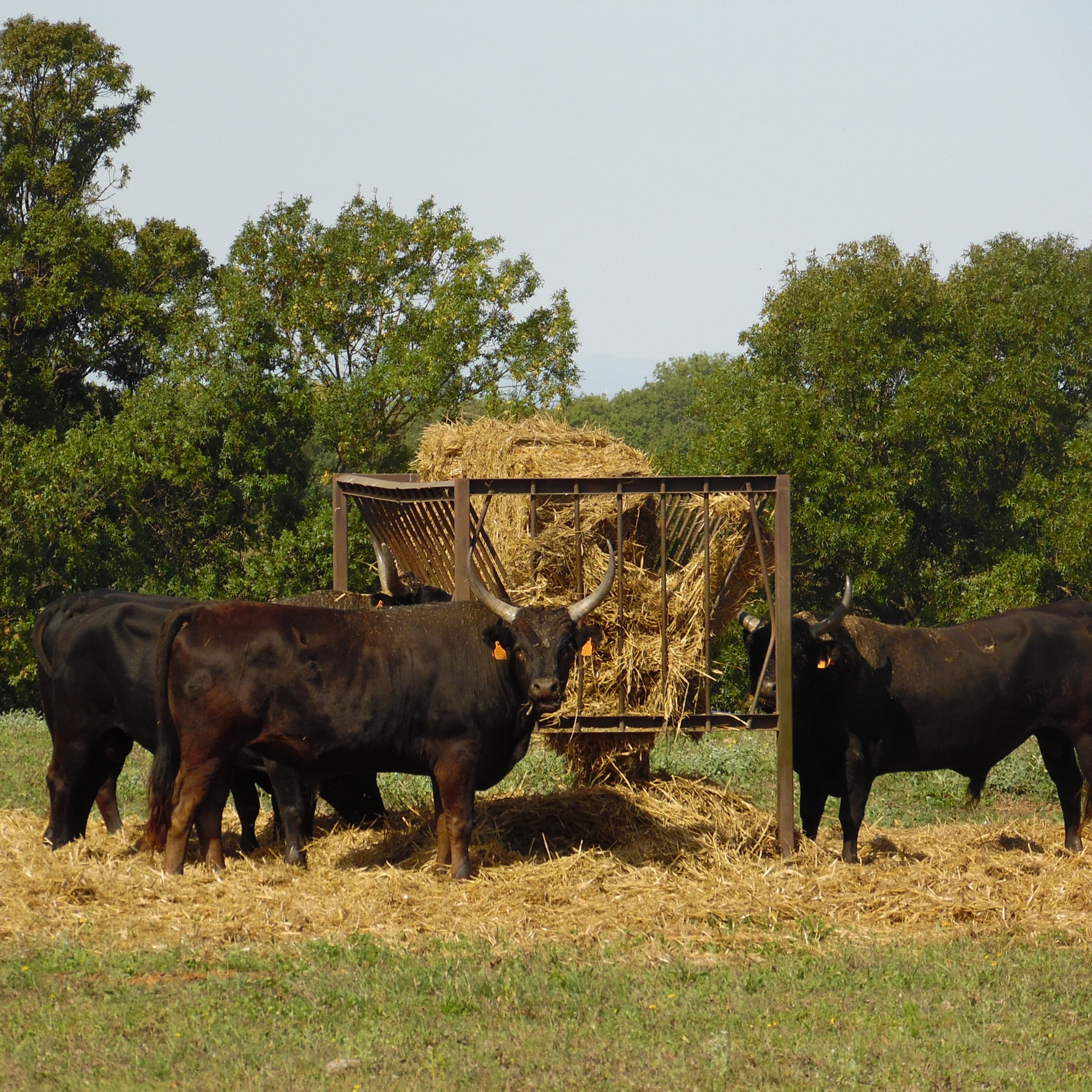 Stacking Steel Welding and Ranch Services Custom Project