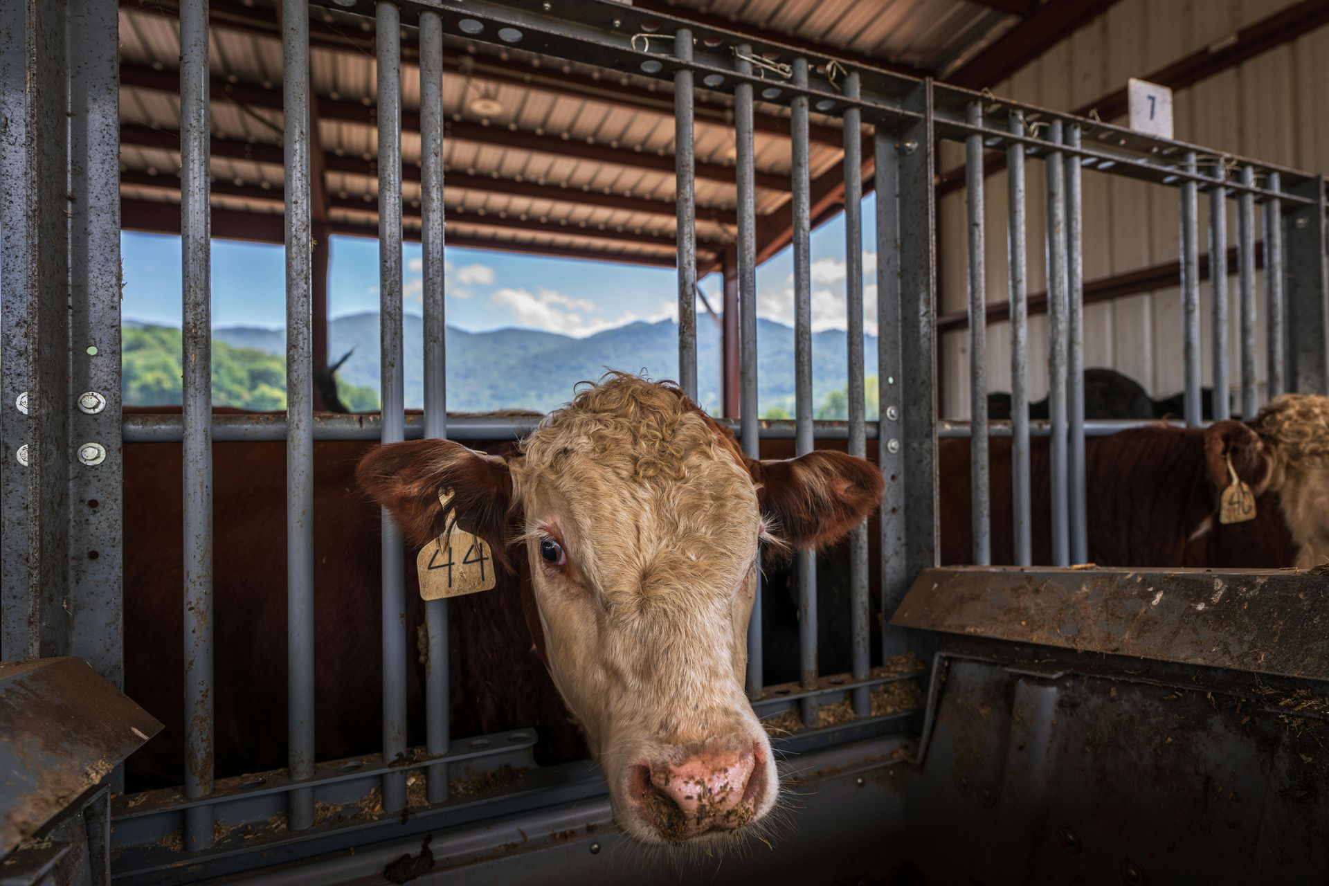 Stacking Steel Welding Solutions