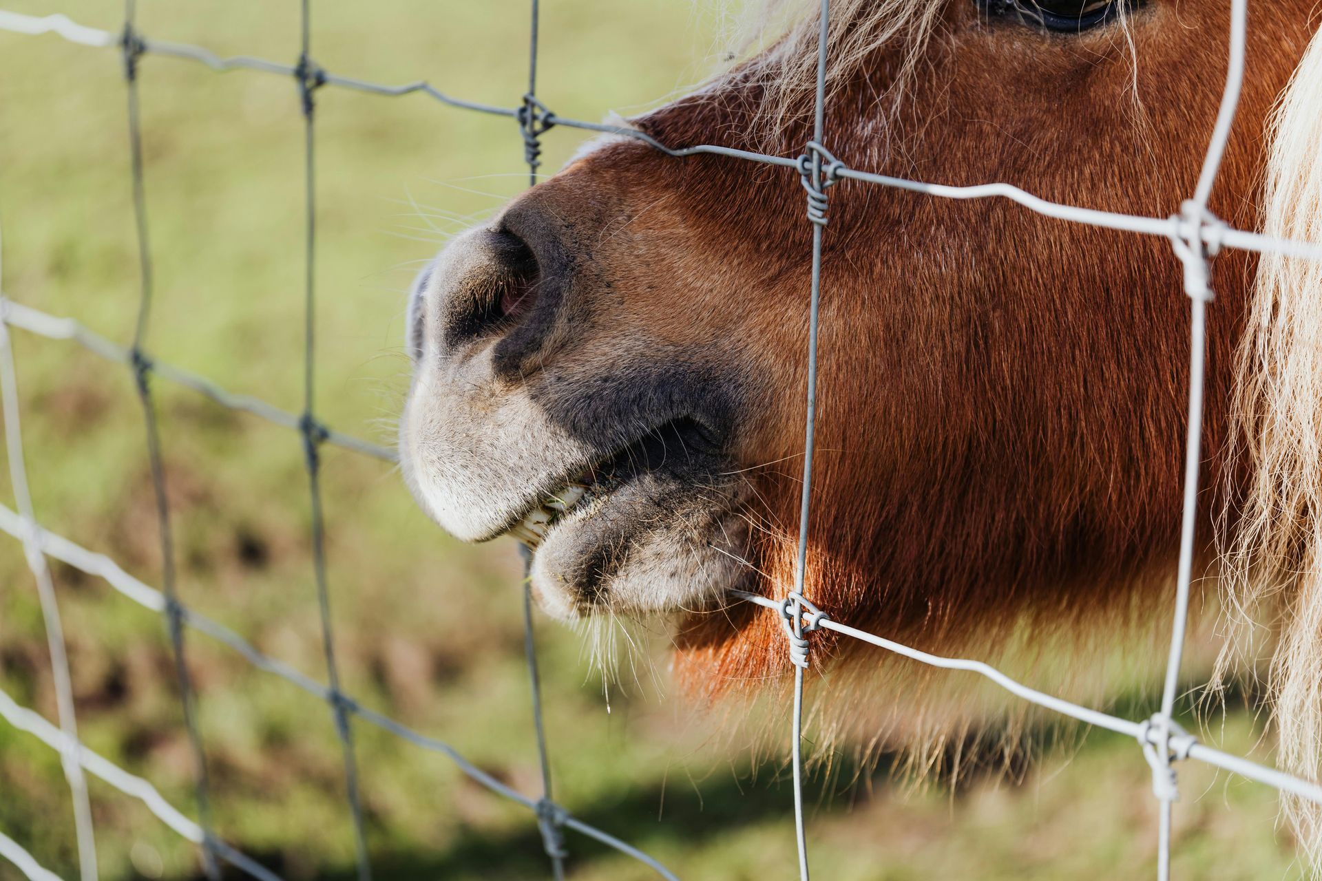 Stacking Steel Welding and Ranch Services Custom Project