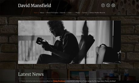 David Mansfield website by BVC Web Design