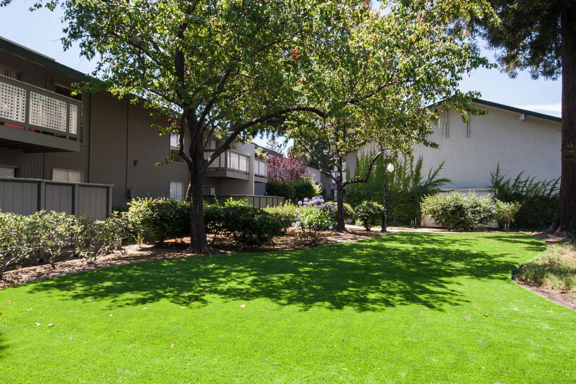 A lush green lawn in front of a building