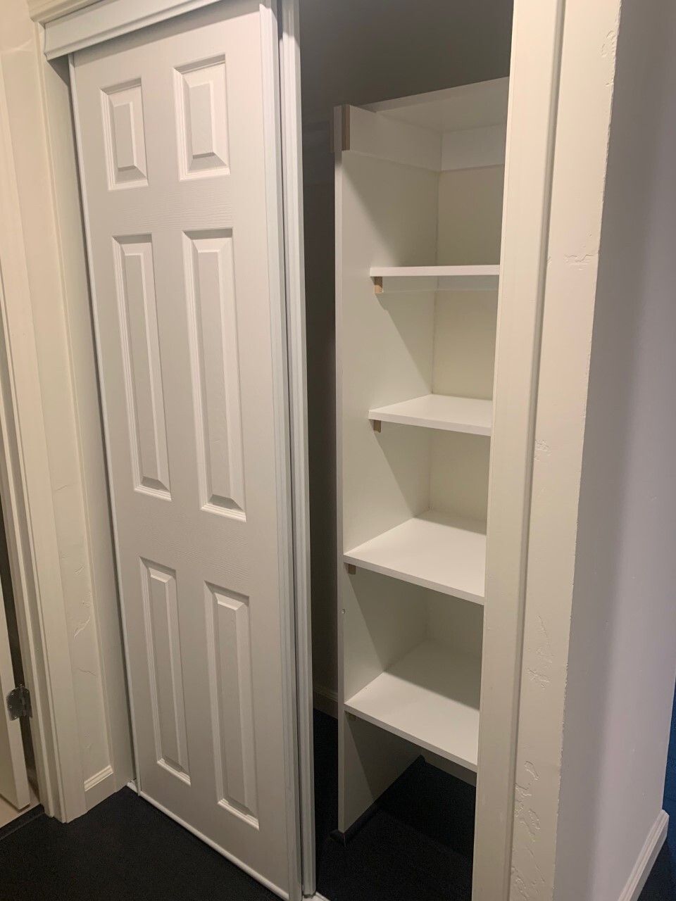 A closet with a door and shelves in it.