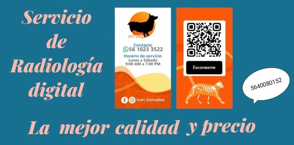 IGM DIGITAL RADIOLOGY