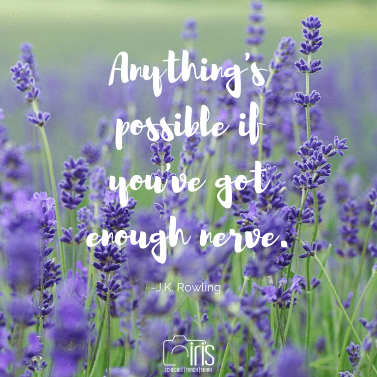 A field of purple flowers with a quote by j.k. rowling