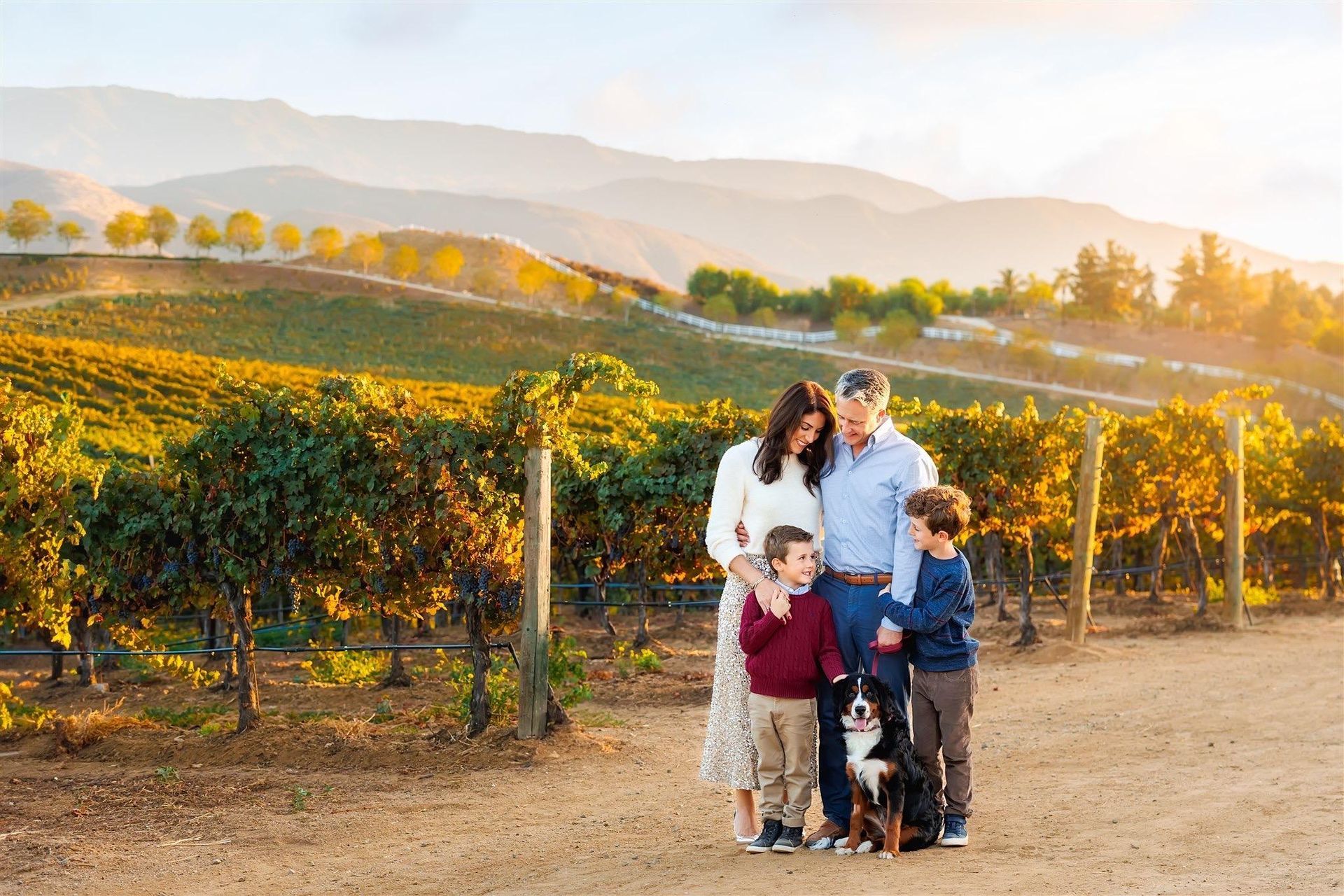 A family and their dog are posing for a picture in a vineyard.