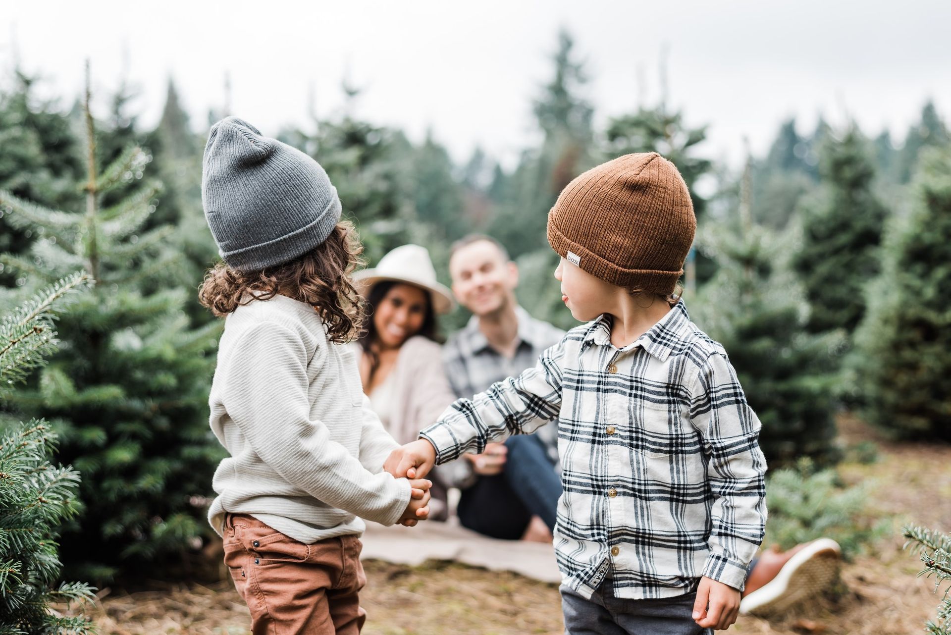 A family is picking a christmas tree at a christmas tree farm.