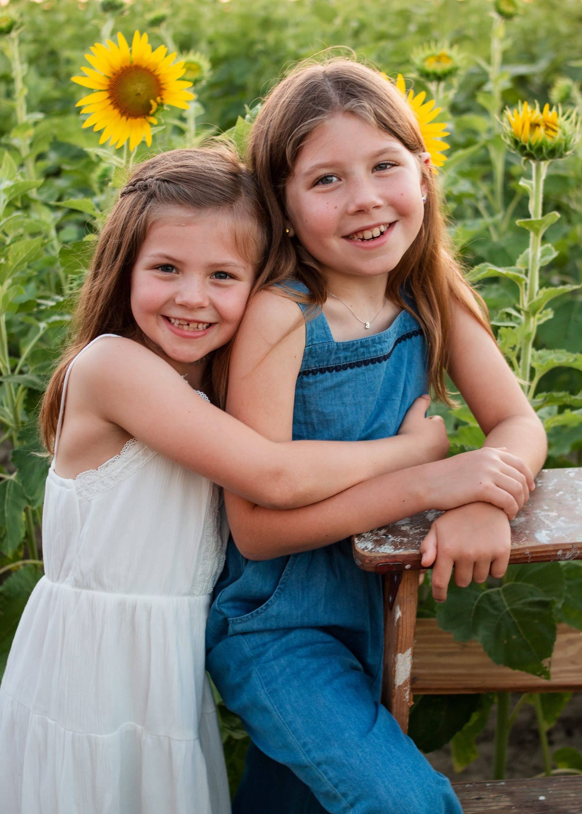 Two little girls are hugging each other in a field of sunflowers.