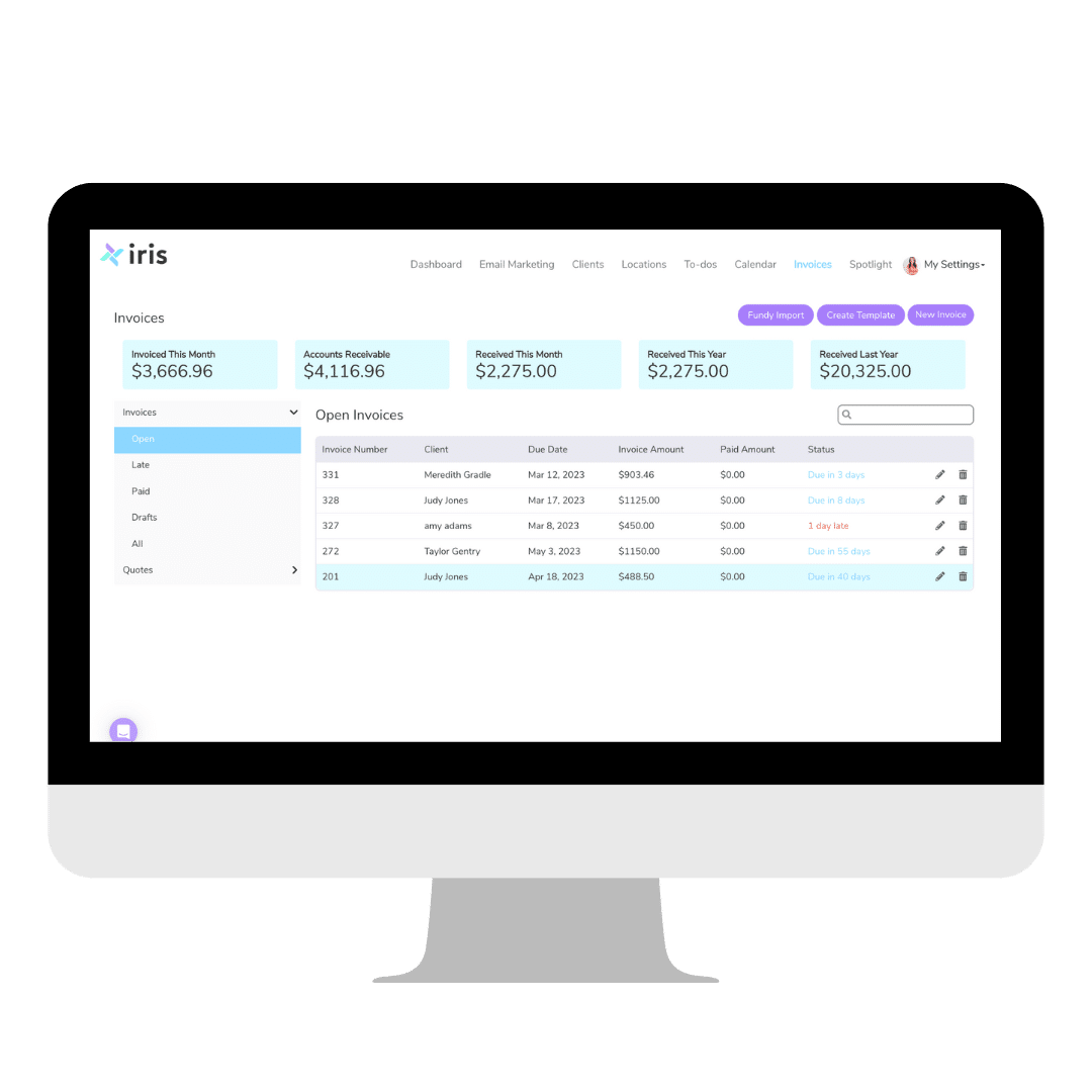 Iris Works Invoice Summary