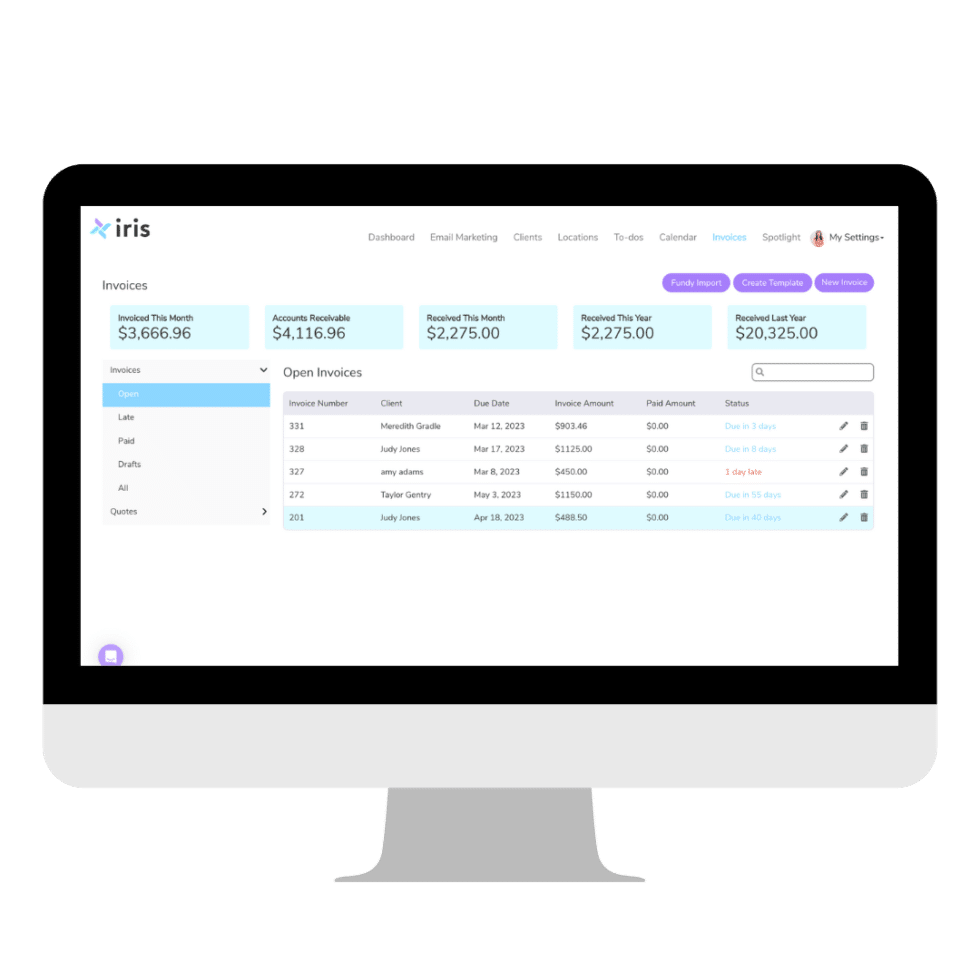 Iris Works Invoice Summary