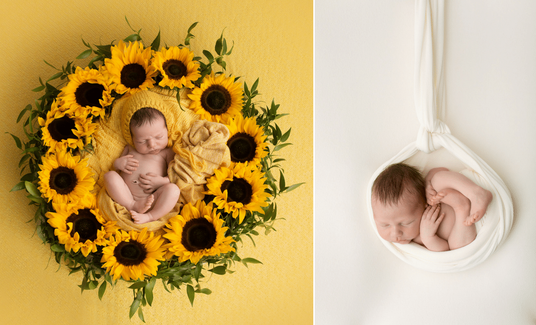 A newborn baby is laying in a basket of sunflowers.