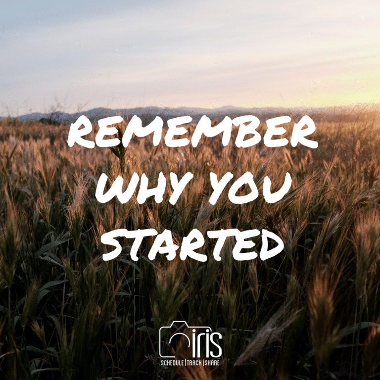 A picture of a field of wheat with the words `` remember why you started '' written on it.