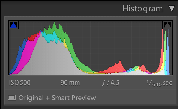 A screenshot of a histogram of a photo taken at iso 500