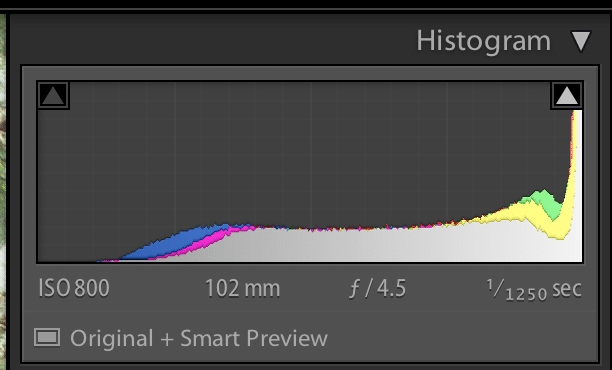 A screenshot of a histogram showing the original and smart preview