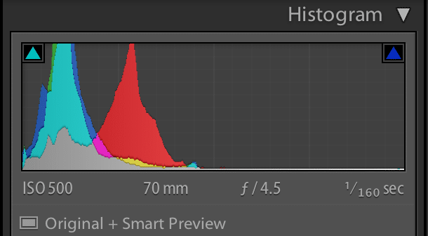 A computer screen shows a histogram of a picture