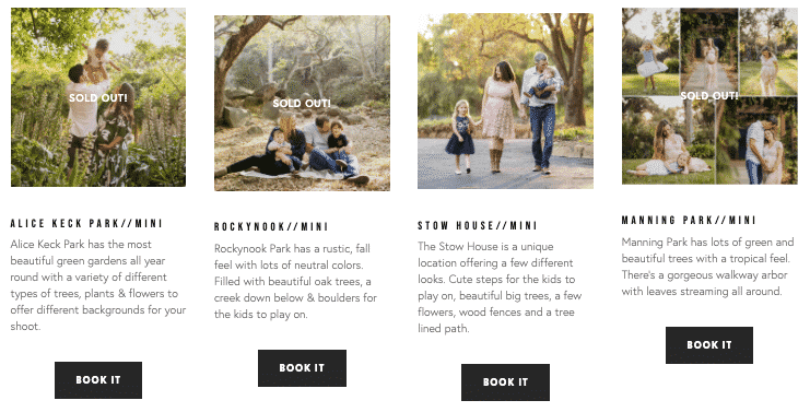 A screenshot of a website showing a family having a picnic in the park.